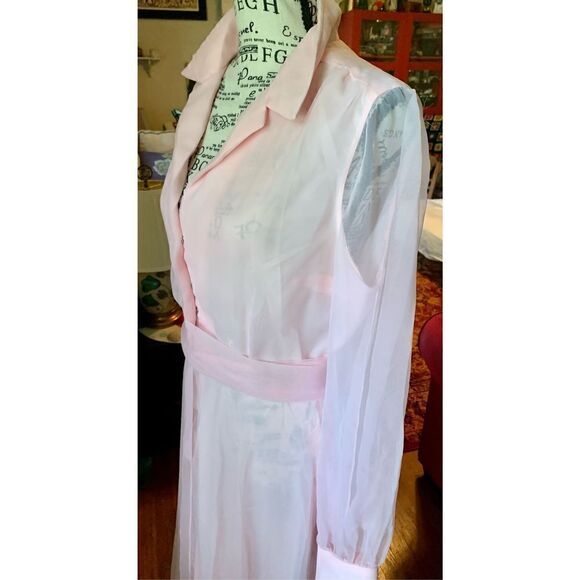 Vintage Pink Homemade Chiffon Maxi Dress - Picture 11 of 15